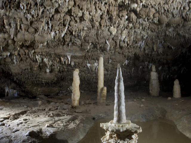 Zámok Rájec, Priepasť Macocha, Punkevní jaskyňa  - 1 dňový výlet za krásami Čiech