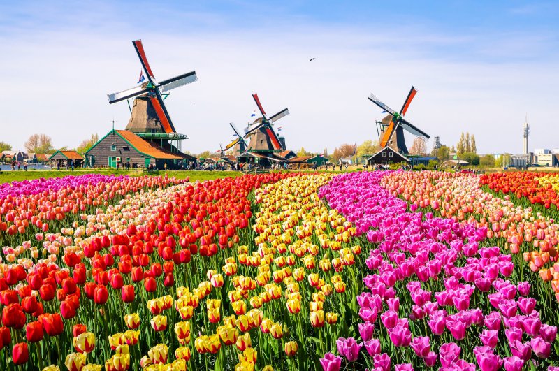 Holandsko - svetoznáma výstava kvetov Keukenhof a Amsterdam