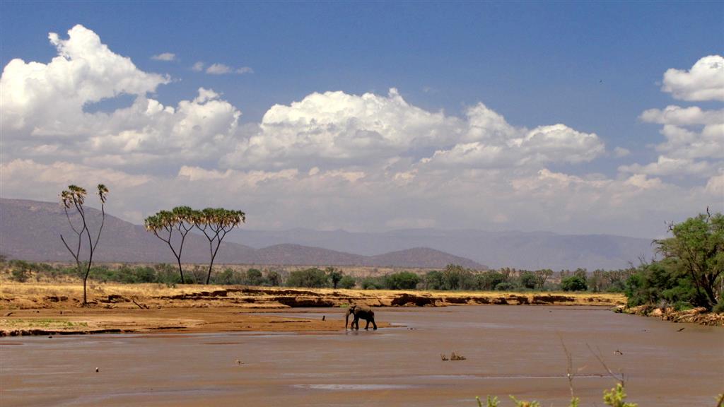 Keňa - najlepšie národné parky
