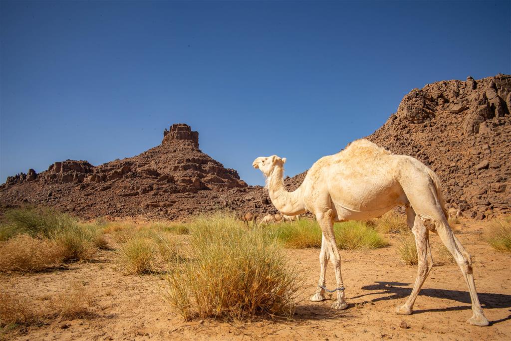 Sahara – expedícia all inclusive (UNESCO) - 57