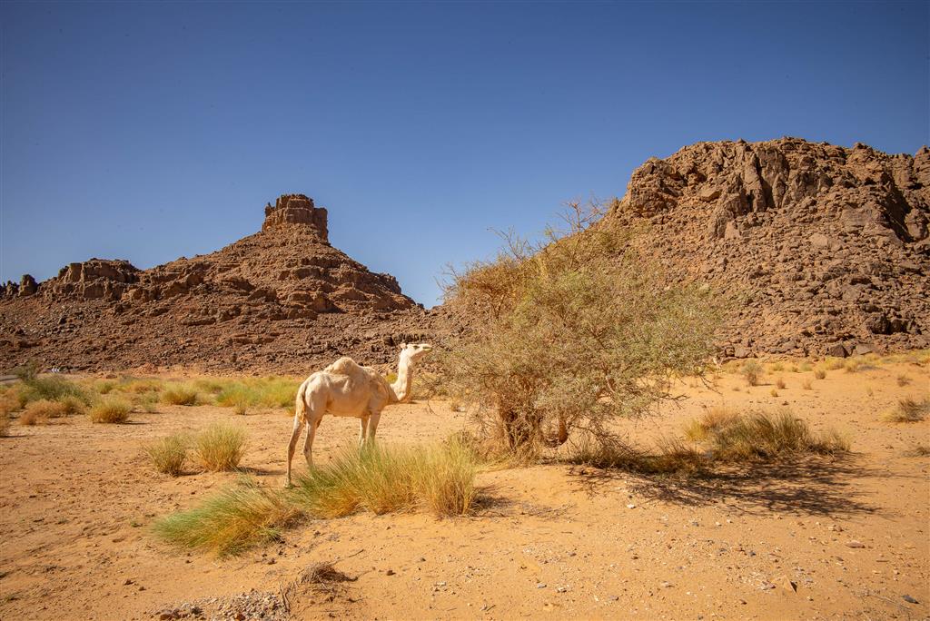 Sahara – expedícia all inclusive (UNESCO) - 58