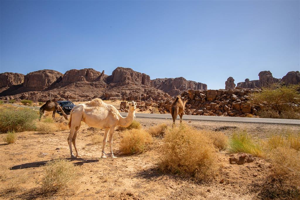 Sahara – expedícia all inclusive (UNESCO) - 59