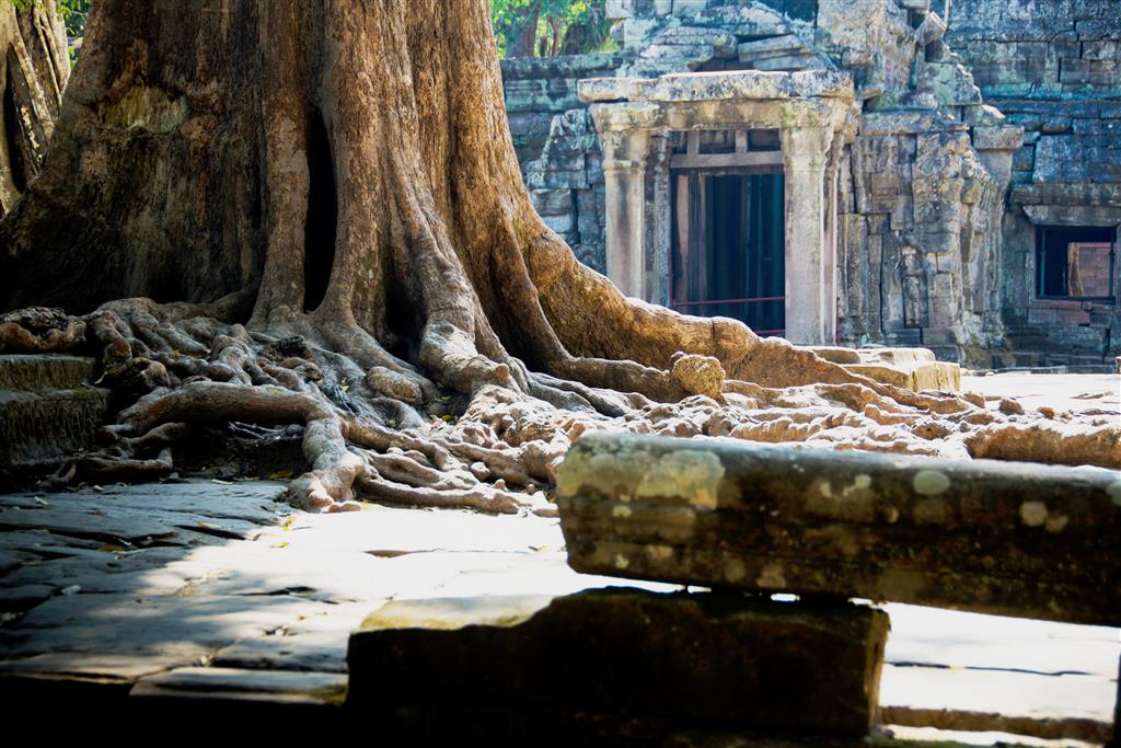 Saigon, Angkor a oddych v Kambodži - 25