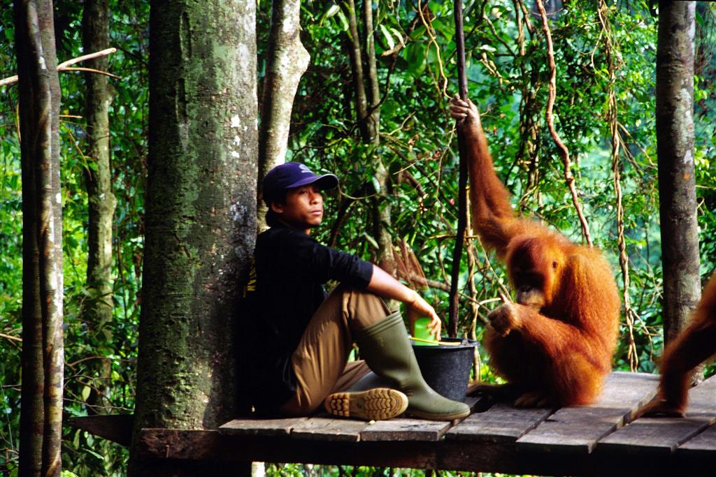 Sumatra - Siberut a Mentavajci - 11