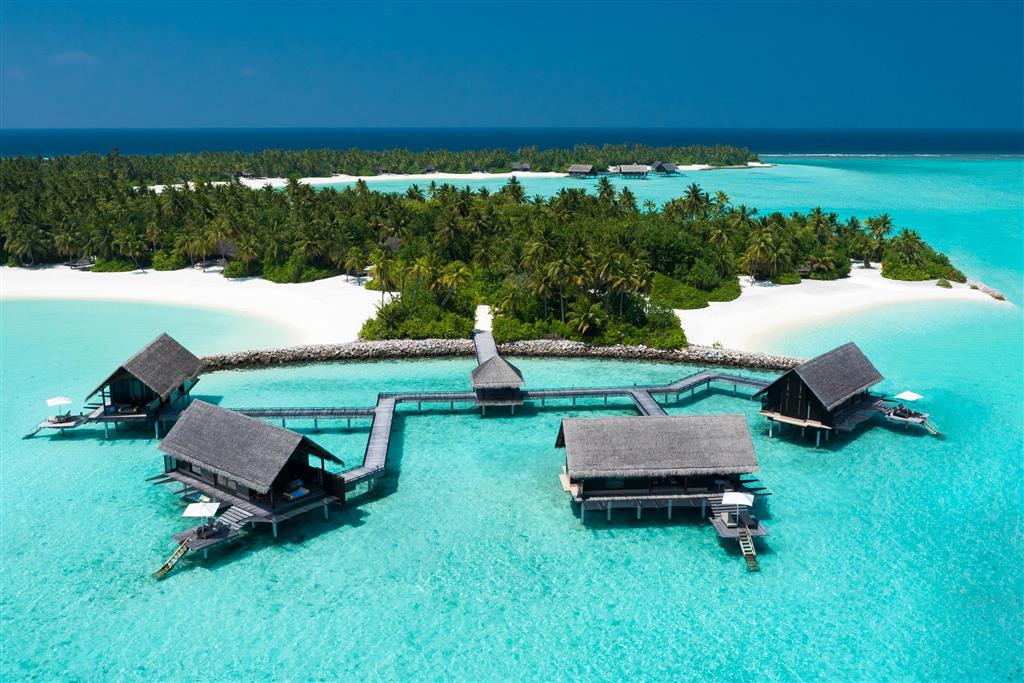Maldivy - One&Only