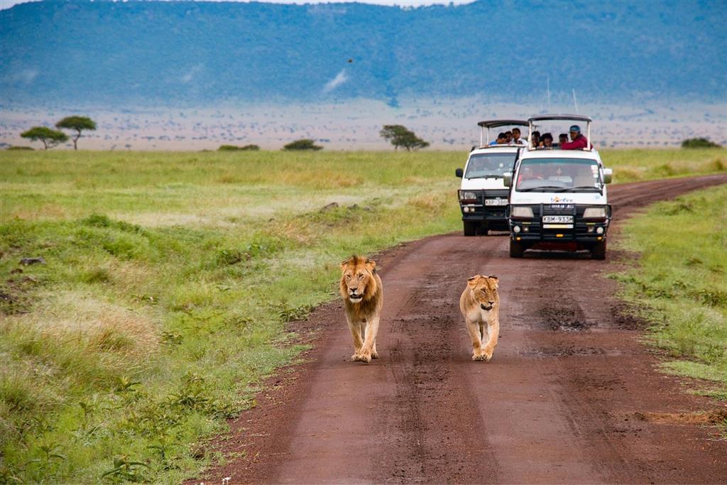 Poklad Afriky: Keňa vrátane 3-dňového safari v národnom parku Tsavo East a Tsavo West