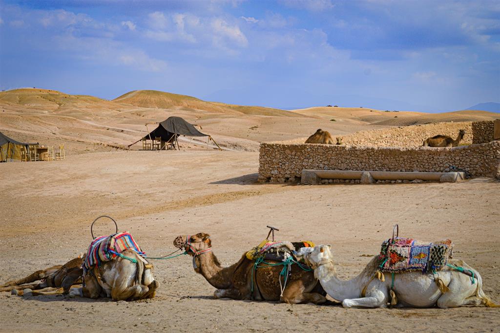 Maroko: Veľký okruh kráľovstvom vrátane návštevy púšte Agafay