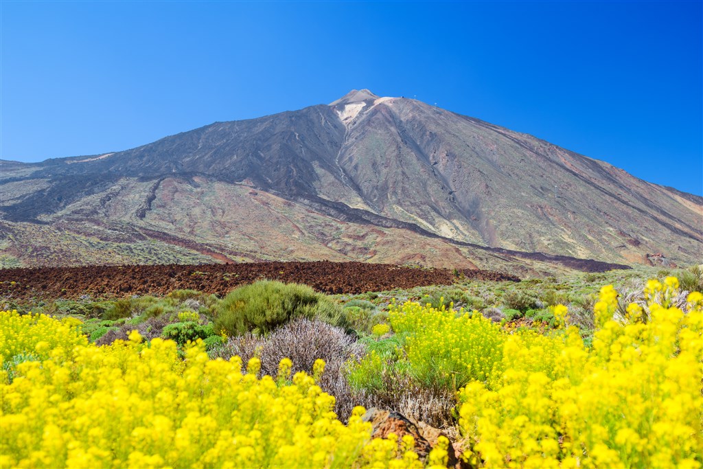 To najlepšie z Tenerife - zelený sever a slnečný juh - 5