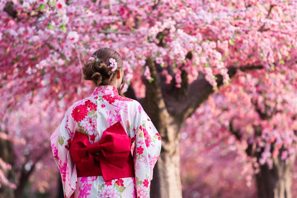 Japonsko - potulky krajinou kvitnúcich sakúr
