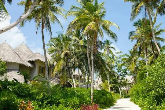 Najlepšie hotely sveta: The Nautilus Maldives - Luxus o úroveň vyššie - 6