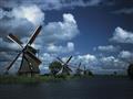 Velikonoční Holandsko květin, větrných mlýnů, sýrů a stavitelů lodí