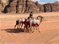 Jordánsko fun & energy - Jordansko wadi rumy tavy