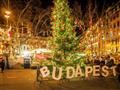 Vianočná Budapešť s plavbou a s možnosťou oddychu v Széchenyiho kúpeloch