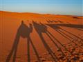 Pomaly sa vraciame späť. Slnko je stále nízko a premieta naše siluety na oranžové pieskové duny.  Fo