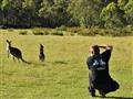 Ak budeme mať šťastie, dostaneme sa aj k divým kengurám relatívne blízko. foto: Martin KARNIŠ - BUBO