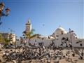 Alžír, v 7 miliónovom meste najväčšej krajiny Afriky. foto: Ľuboš FELLNER – BUBO