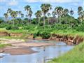 Vstúpte s nami do málo poznaného parku Tarangire, ktorého rovnomenná rieka priťahuje obrovské množst