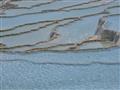 Detaily jazierka fantastického Pamukkale si užijete aj vy. Nebudete sa vám chcieť veriť, že je to sk