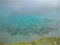 Toľko rýb v jazere vo výške cez 4000 metrov. foto: Ľuboš FELLNER – BUBO