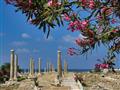 Tyros v južnom Libanone má svoje krásne staroveké ruiny, ktoré sa prebojovali až na zoznam UNESCO. f