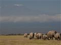 Národný park Amboseli je známy ako Safari pod Kilimandžárom