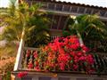 Jeden pohľad na balkón v Cartagene, ktorá je Juhoamerickou Florenciou. Nádherná!  foto: Ľuboš Fellne