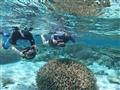 Radi sa potápate alebo šnorchlujete? Kokosové ostrovy ponúkajú aj takéto úžasné pohľady na podmorský