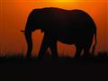 /uploads/galleries/7302/tri-krajiny-afriky-safari-a-plaz.jpg