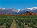 Najvyššie komerčne využívané vinice na svete, Mendoza. foto: archív BUBO