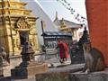 V opičom chráme sa lúčime s Káthmandu