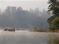 Mystické ráno v národnom parku Chitwan
