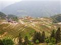 Z Guilinu navštívime aj najslávnejšie ryžové terasy ríše stredu Longshenk Longji. foto: Samuel Klč -