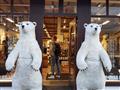 Krajina, kde vstupy do obchodov strážia ľadoví medvedi. 
foto?: Denisa NOVOSADOVÁ — BUBO