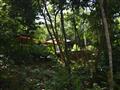 Privátna vila s bazénom utopená v džungli. Six Senses Krabey island