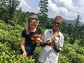 Čajové plantáže, na ktorých sa pestuje originálny cejlónsky čaj, čajová fabrika, malebné scenérie ča