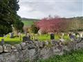 Tradičný cintorín neďaleko Golspie, Škótsko. Foto: Peter Droba, BUBO