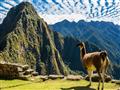 Vysnívaná cesta na Machu Picchu. Peru Bolívia obohatená o Amazonský prales. Vybrali ste si správne!