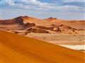Najväčšie piesočné duny na svete v národnom parku Namib Naukluft, priamorožce, springboky, pštrosy a