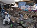 Pri prehliadke Kábulu prechádzame cez slávny Bird Market. Odtiaľto sa prejdeme k slávnej mešite Shah