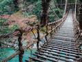 Prírodné drevené mosty v údolí Iya, po ktorých sa budeme prechádzať. Trúfnete si?
Foto: BUBO archív