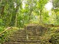BUBO Vám ukáže zážitky aj tam, kde ich iní prehliadajú. V Palenque je ešte mnoho pamiatok neodkrytýc