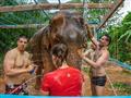 Kúpanie slonov na Krabi ja obrovským zážitkom a my vám ho radi sprostredkujeme foto: Adam Záhorský -