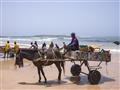 Na plážach Dakaru tu žije. Vyrastajú tu futbalové legendy, lovia chutné ryby a panuje tu elektrizujú