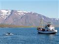 Trojhodinový výlet loďou v krásnom prostredí hôr, skalnatého pobrežia a zátoky plnej veľrýb. foto?: 