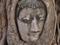 Táto Budhova hlava je symbolom Ayutthaye