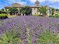 Naším ďalším zážitkom bude vidiek a nádherný Saint Rémy de Provence. Všade navôkol vôňa levandúľ a r