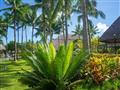 Záhrada nášho hotela na Bora Bora. Foto: Ľuboš Fellner