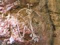 Maľba postavy s menom Namarrkon na mieste známom ako Burrungkuy. Namarrkon je zodpovedný za výdatné 