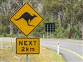 Je tu množstvo fariem, kde budeme hľadať kengury. Na rozľahlých trávnatých plochách sa ich tu pasú d