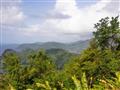 Najzelenší ostrov Karibiku - platí to o Tobagu? foto: Ľubor Kučera – BUBO